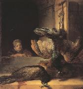 REMBRANDT Harmenszoon van Rijn Still life with two dead Peacocks and a Girl (mk33) painting